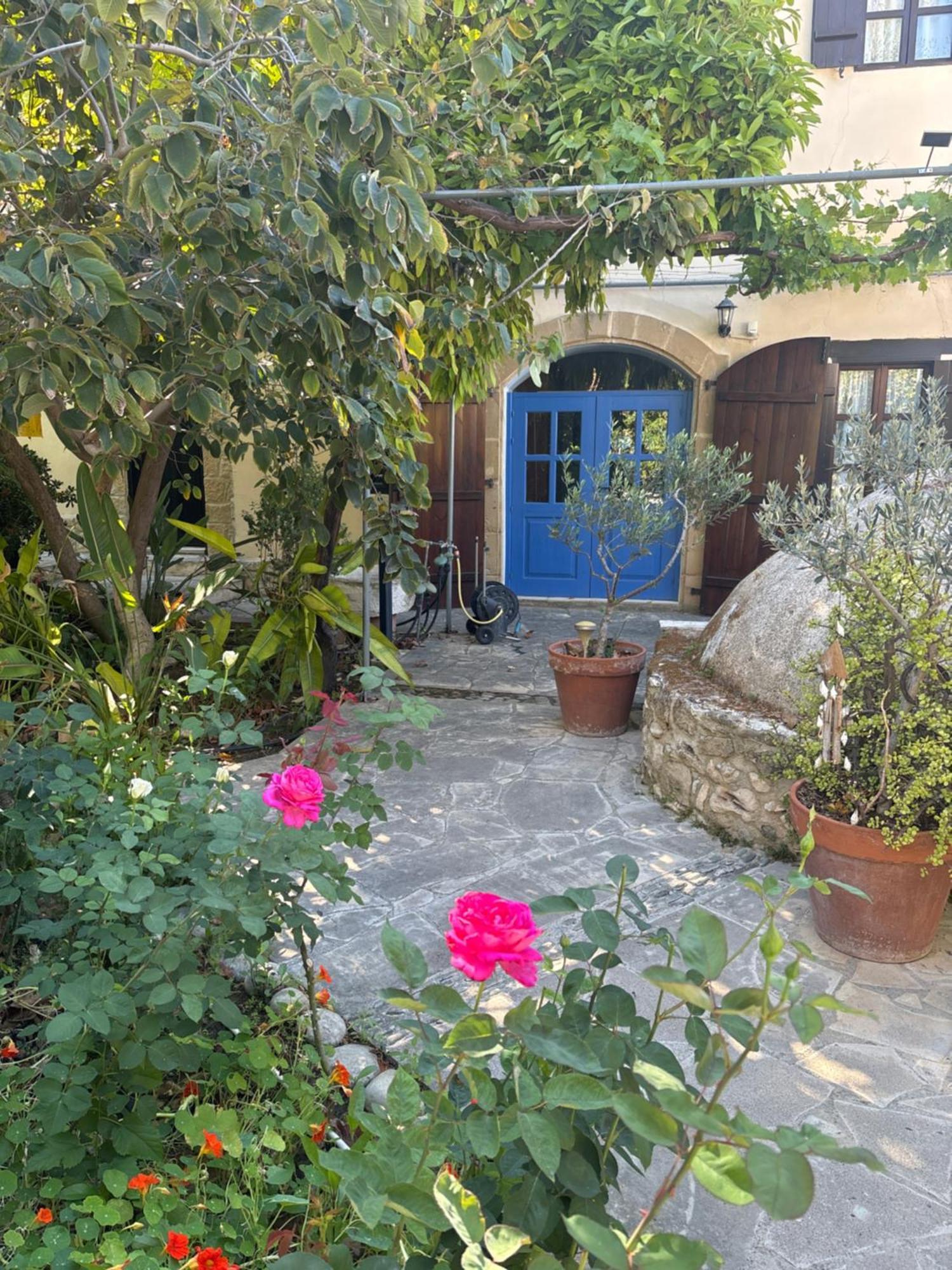 Vasilion Agrotourism Villa Polis Exterior photo