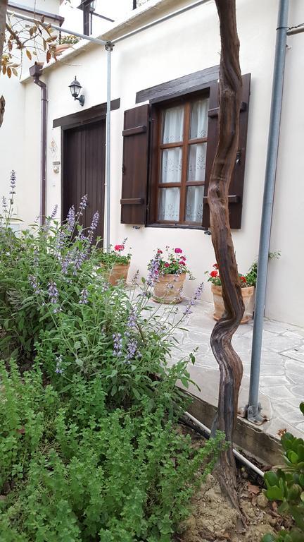 Vasilion Agrotourism Villa Polis Exterior photo